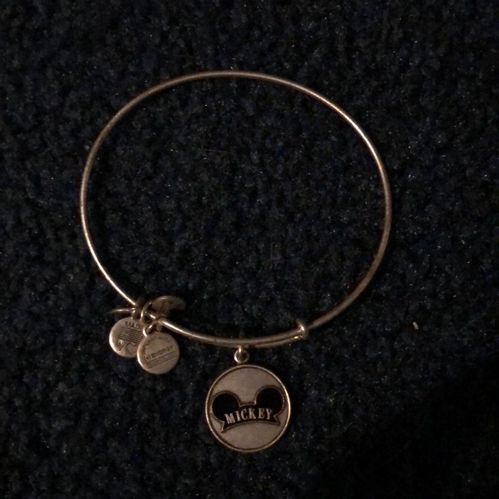 Mickey head Alex and ani